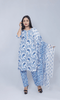 Daily Wear Printed Salwar Suit  Set